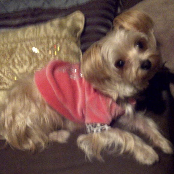 Meet your Posher, Stephanie - Picture 6 of 6